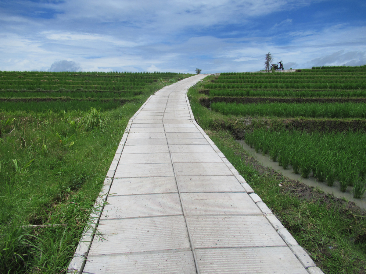 PENINGKATAN JALAN USAHA TANI (JUT) MUNGGU - BALI